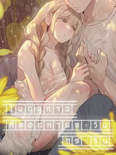 In The Season When Sunflowers Whisper - ในฤดูกาลที่ดอกทานตะวันกระซิบ