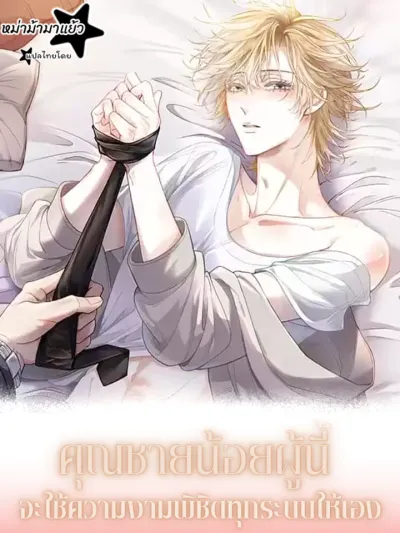 Handsome Guy Takes Over Systems - คุณชายน้อยผู้นี้จะใช้ความงามพิชิตทุกระบบให้เอง